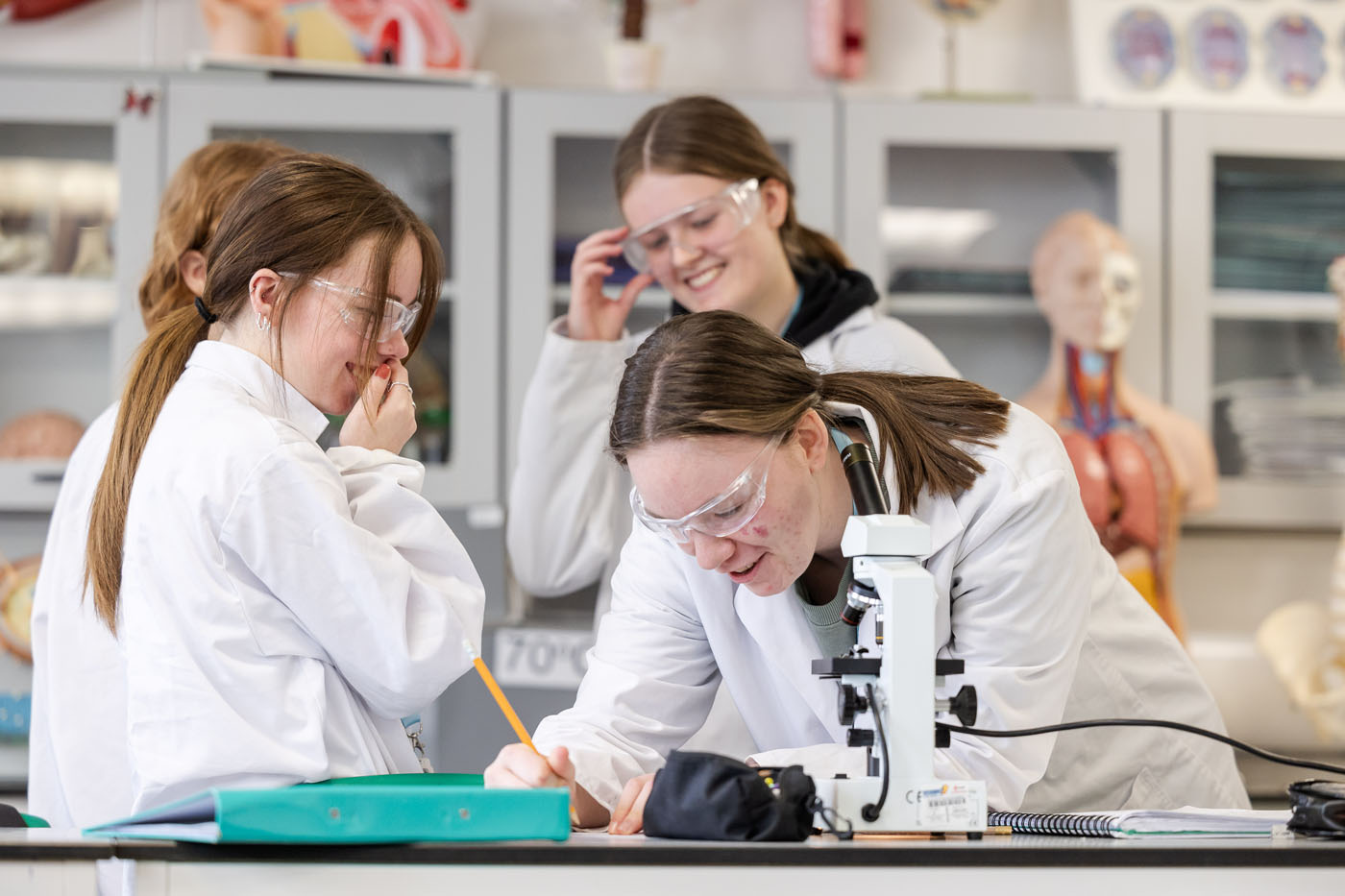 SC Bede Biology FE 383 Web